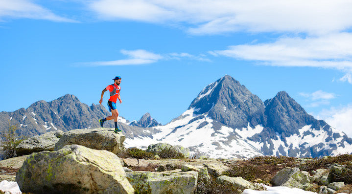 L-Carnitine The Endurance Enhancer RunStrong L-Carnitine The Endurance Enhancer RunStrong