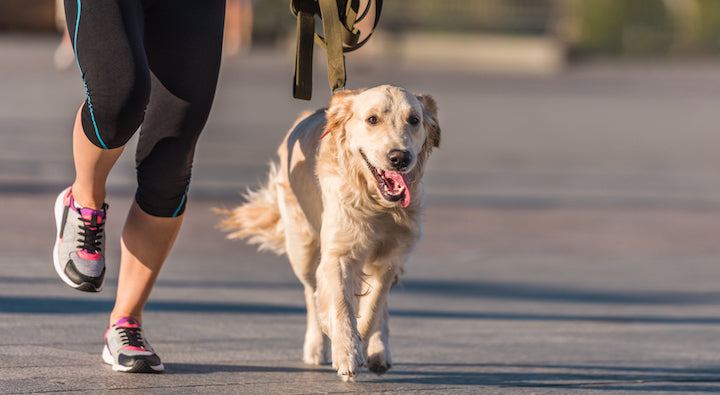 Start Running - Couch To 5k